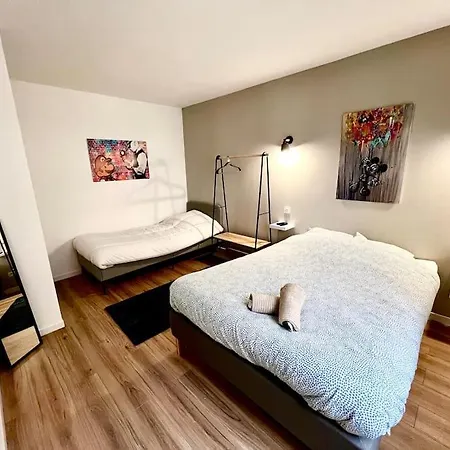 Le Lego, 3 Chambres, 8 Personnes Et Parking, Centre Апартаменти